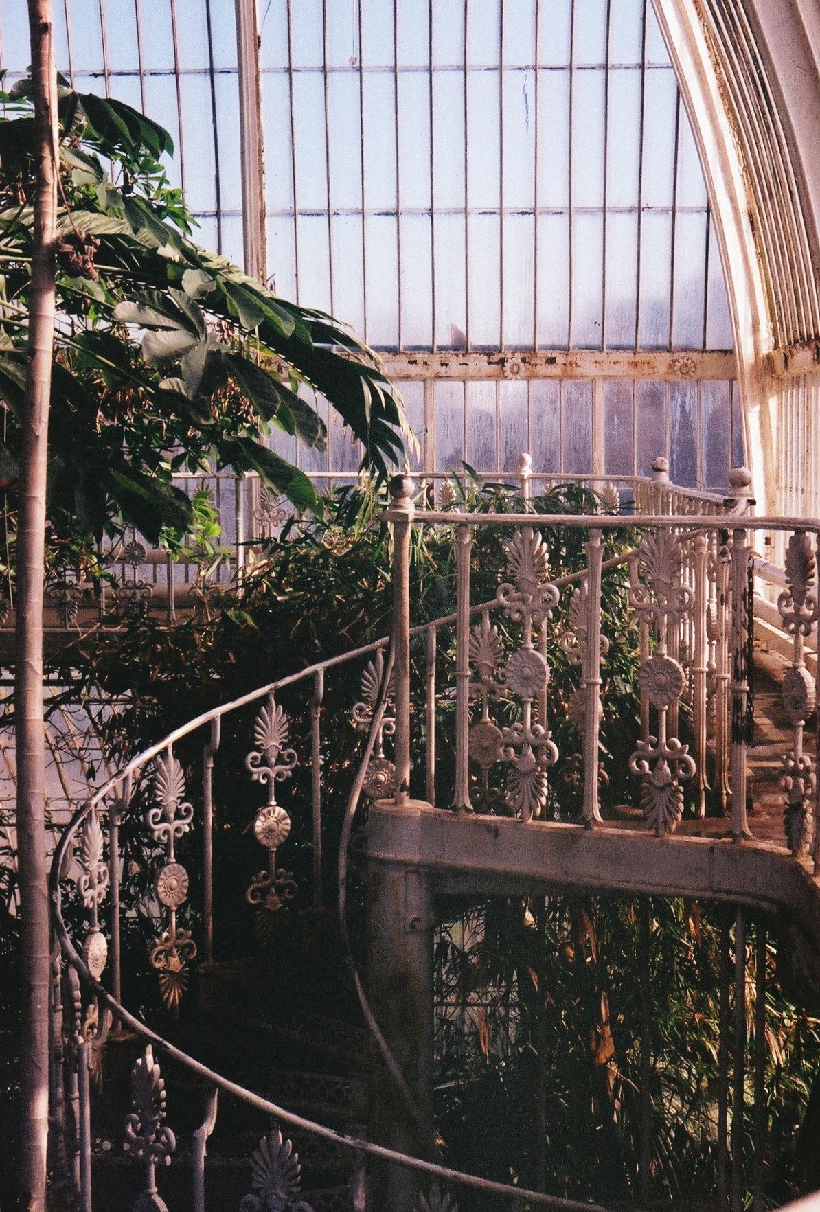 Ornate spiral staircase in a Victorian glasshouse